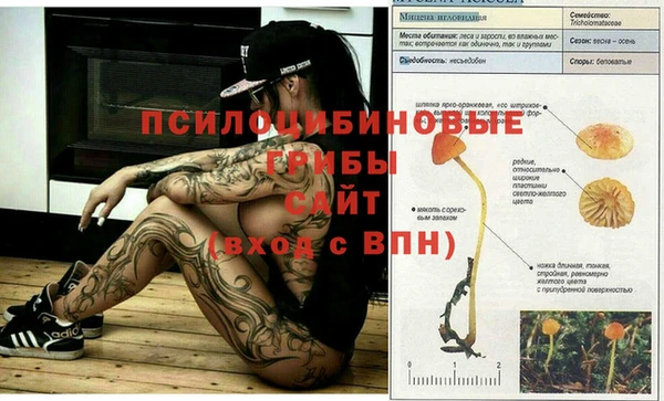 синтетический гашиш Балахна
