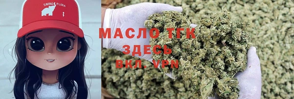 стаф Козельск