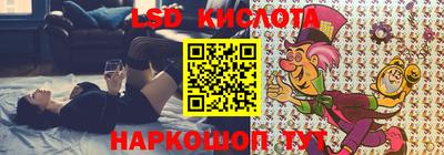 тгк Бердск