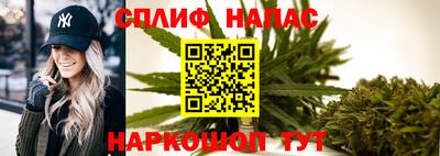 тгк Бердск