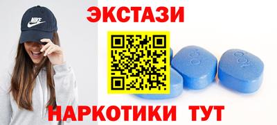 тгк Бердск