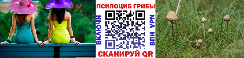 OMG ССЫЛКА  Белово  Галлюциногенные грибы Cubensis 