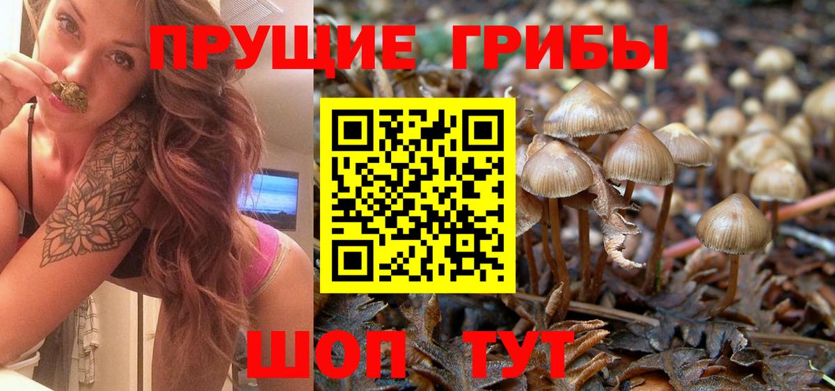 закладка  Галлюциногенные грибы мухоморы  Вход с VPN  Белово 